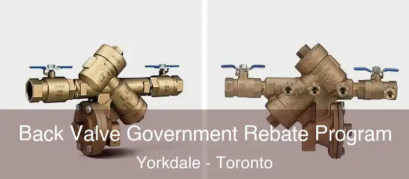 Back Valve Government Rebate Program Yorkdale - Toronto