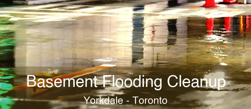  Basement Flooding Cleanup Yorkdale - Toronto
