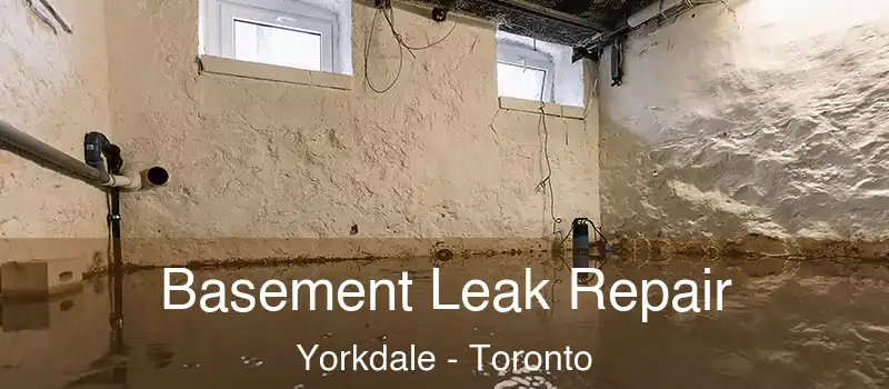  Basement Leak Repair Yorkdale - Toronto