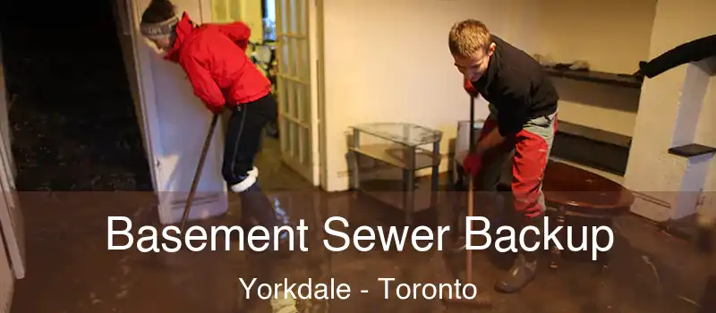 Basement Sewer Backup Yorkdale - Toronto