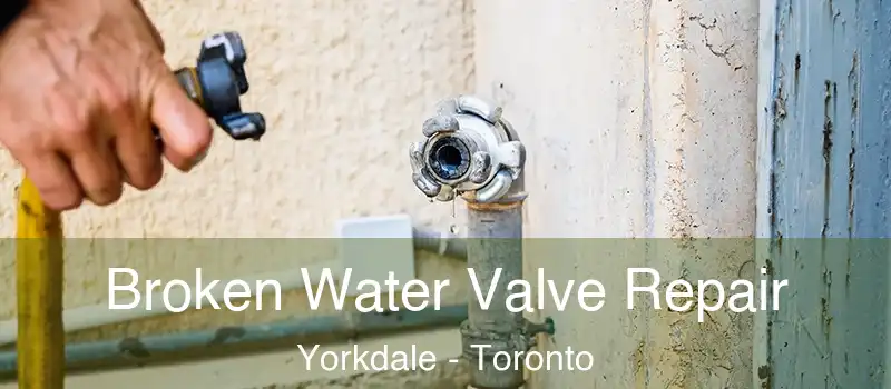  Broken Water Valve Repair Yorkdale - Toronto