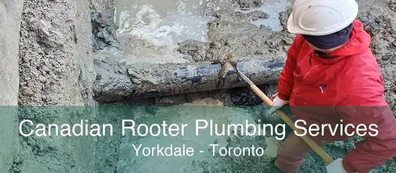 Canadian Rooter Plumbing Services Yorkdale - Toronto