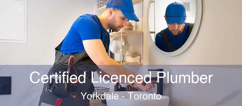  Certified Licenced Plumber Yorkdale - Toronto