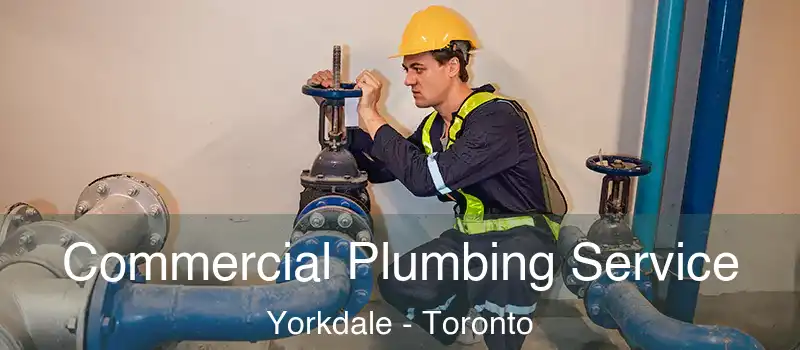  Commercial Plumbing Service Yorkdale - Toronto