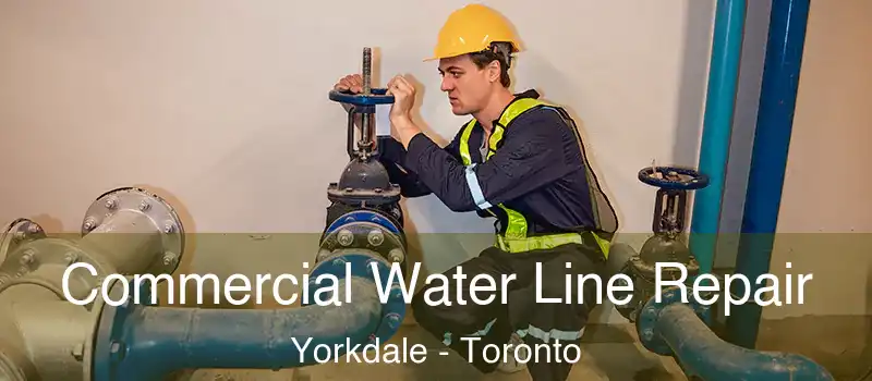  Commercial Water Line Repair Yorkdale - Toronto