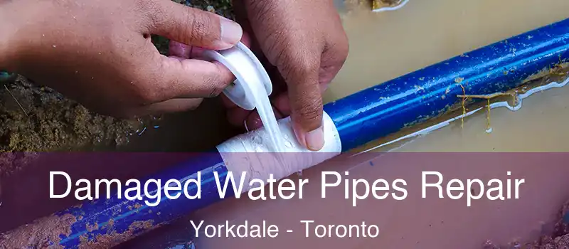  Damaged Water Pipes Repair Yorkdale - Toronto