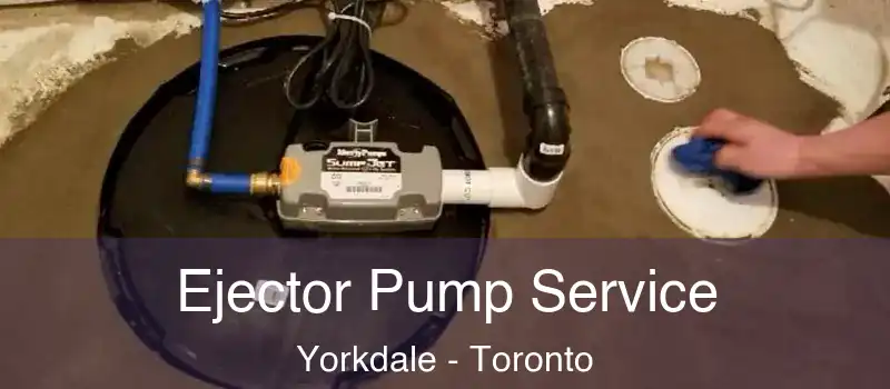  Ejector Pump Service Yorkdale - Toronto
