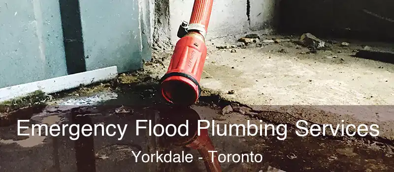  Emergency Flood Plumbing Services Yorkdale - Toronto
