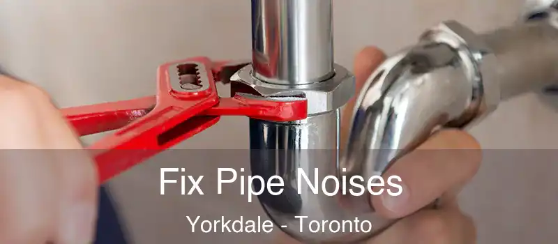  Fix Pipe Noises Yorkdale - Toronto