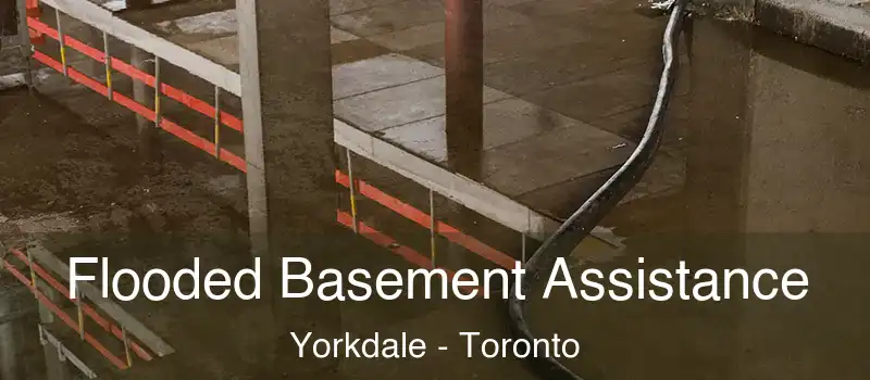  Flooded Basement Assistance Yorkdale - Toronto