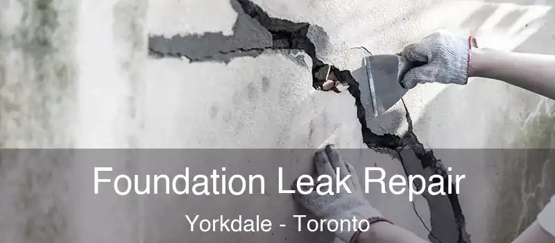  Foundation Leak Repair Yorkdale - Toronto