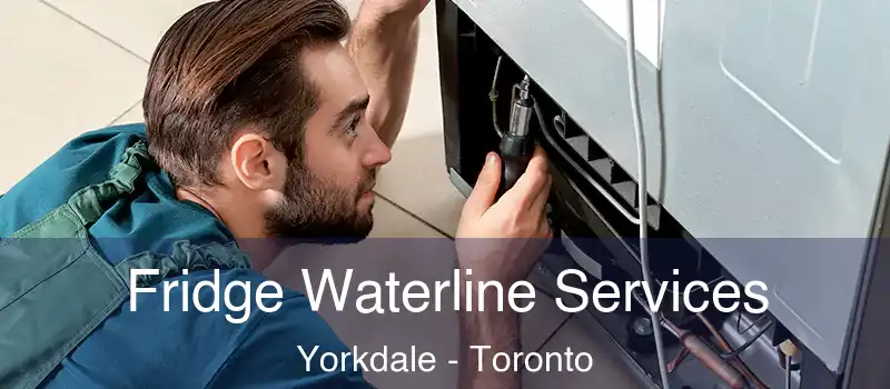  Fridge Waterline Services Yorkdale - Toronto