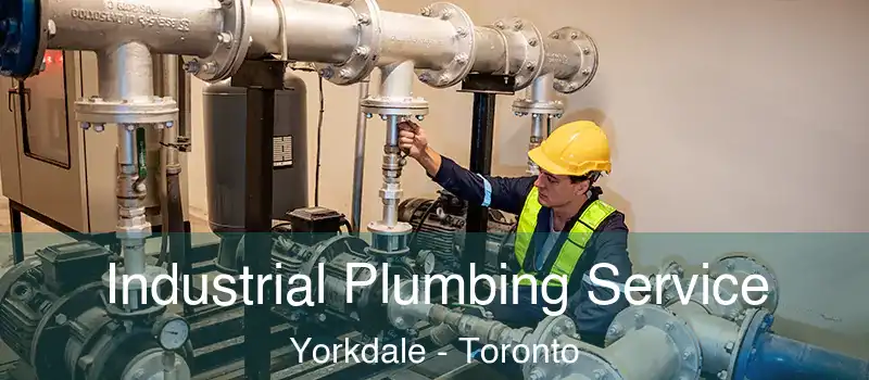  Industrial Plumbing Service Yorkdale - Toronto
