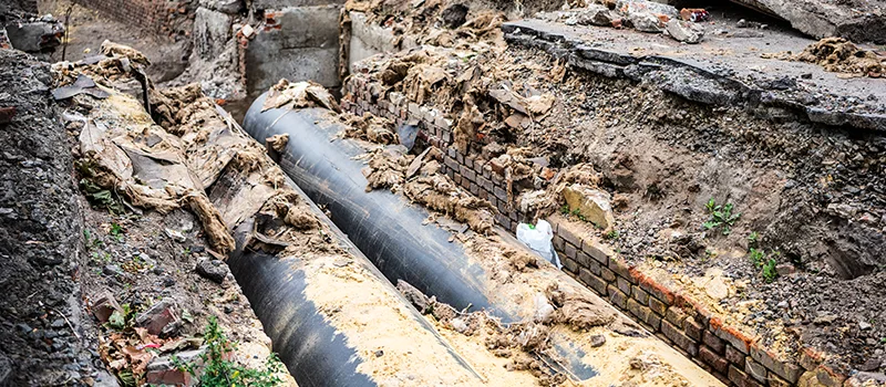 Commercial Sewer Tree Roots Damage Solutions in Yorkdale, Toronto