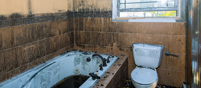 Residential Water Damage Restoration in Yorkdale, Toronto