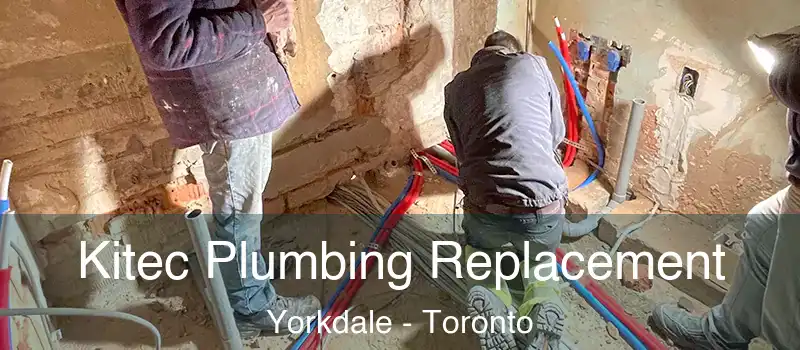  Kitec Plumbing Replacement Yorkdale - Toronto