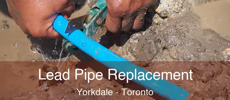  Lead Pipe Replacement Yorkdale - Toronto