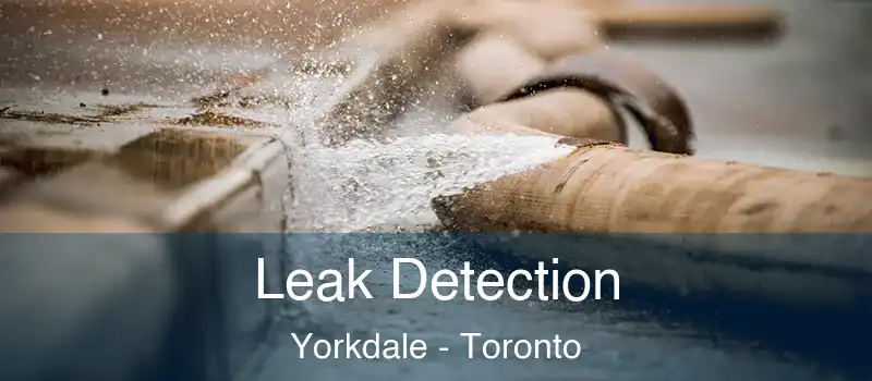  Leak Detection Yorkdale - Toronto