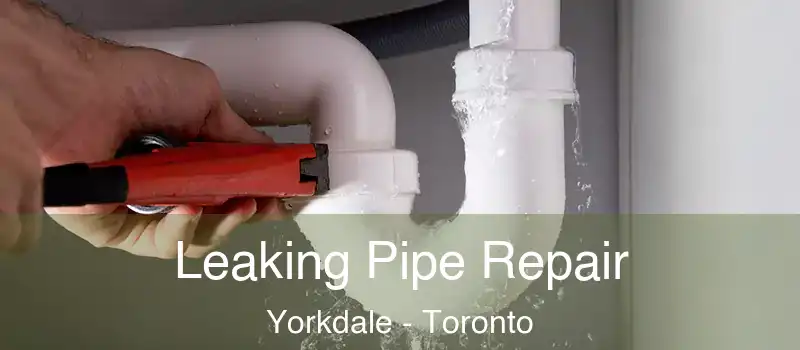  Leaking Pipe Repair Yorkdale - Toronto