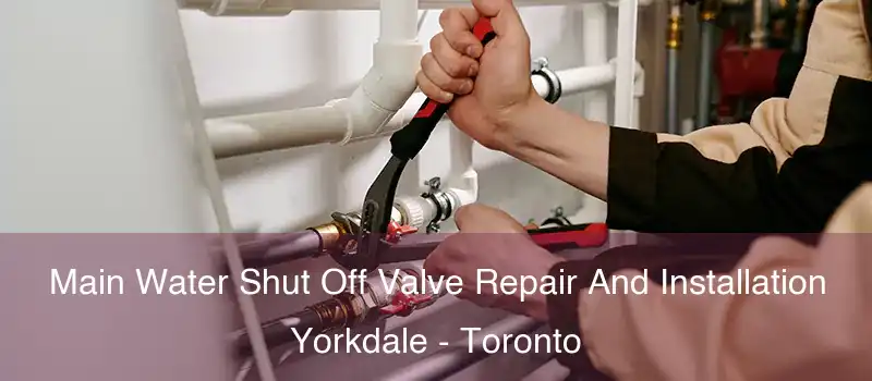  Main Water Shut Off Valve Repair And Installation Yorkdale - Toronto