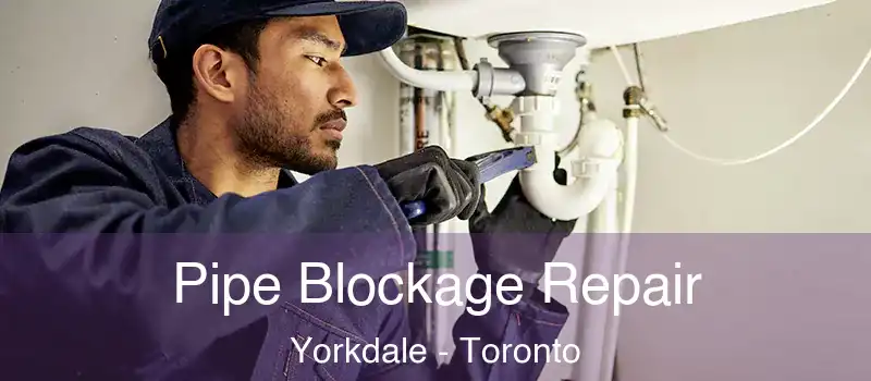  Pipe Blockage Repair Yorkdale - Toronto