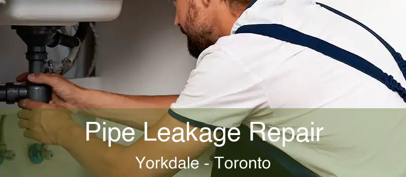  Pipe Leakage Repair Yorkdale - Toronto