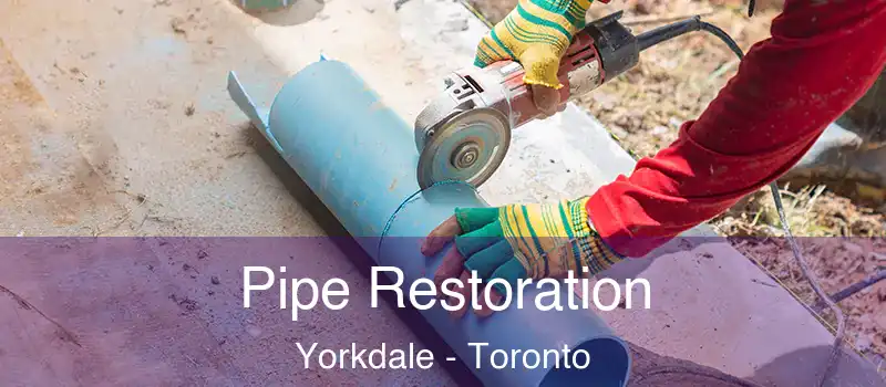  Pipe Restoration Yorkdale - Toronto