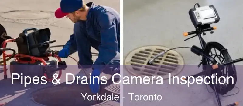  Pipes & Drains Camera Inspection Yorkdale - Toronto