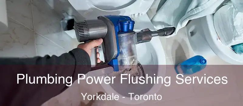  Plumbing Power Flushing Services Yorkdale - Toronto