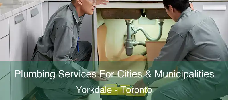  Plumbing Services For Cities & Municipalities Yorkdale - Toronto