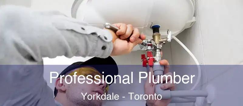  Professional Plumber Yorkdale - Toronto