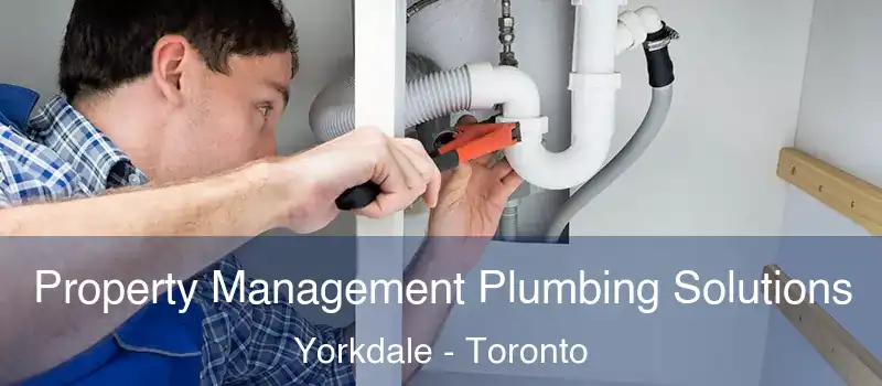  Property Management Plumbing Solutions Yorkdale - Toronto