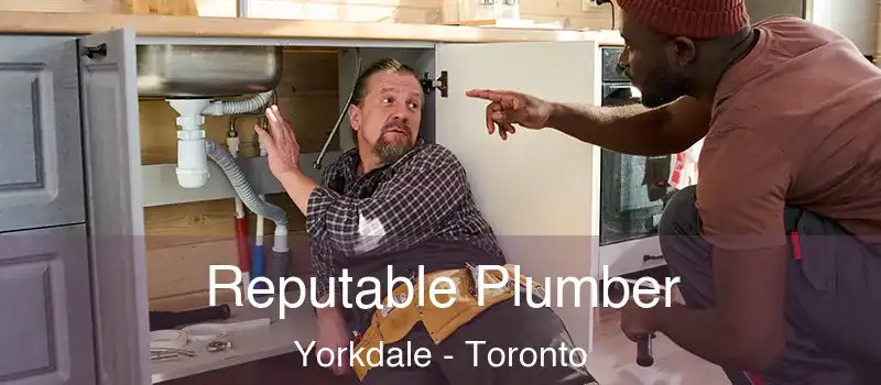  Reputable Plumber Yorkdale - Toronto