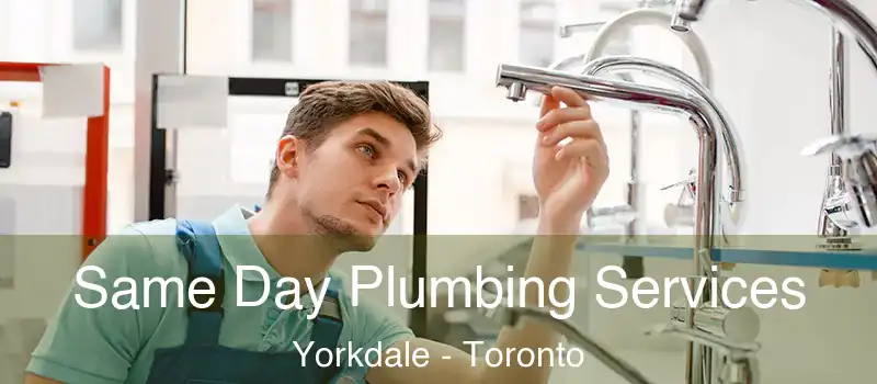  Same Day Plumbing Services Yorkdale - Toronto
