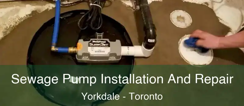  Sewage Pump Installation And Repair Yorkdale - Toronto