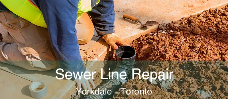  Sewer Line Repair Yorkdale - Toronto