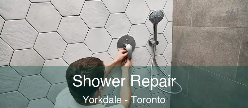  Shower Repair Yorkdale - Toronto