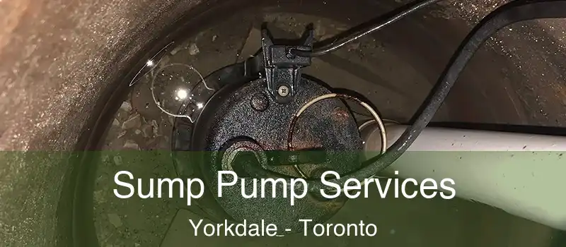  Sump Pump Services Yorkdale - Toronto