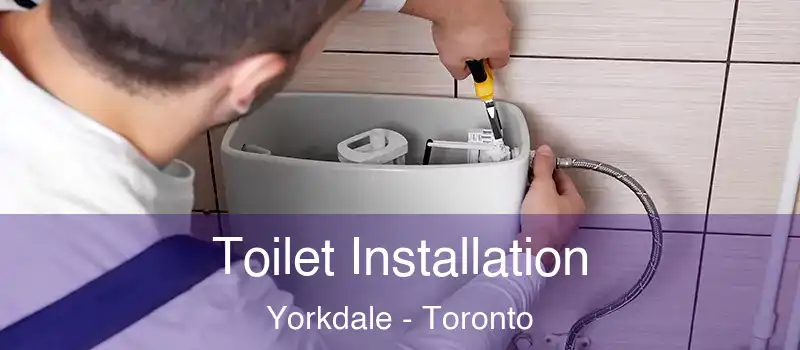  Toilet Installation Yorkdale - Toronto