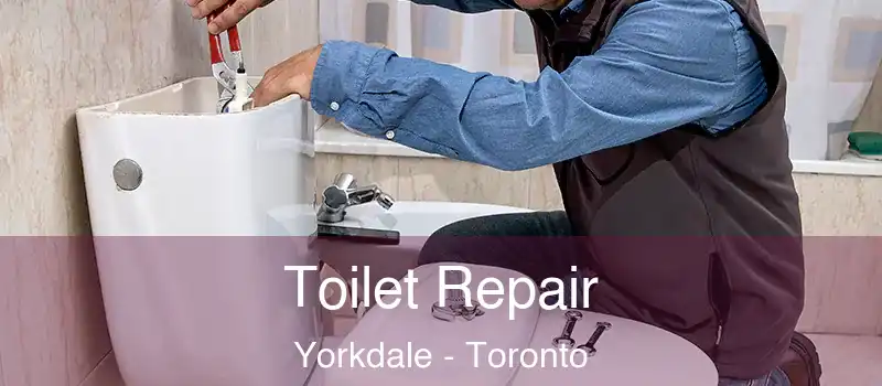  Toilet Repair Yorkdale - Toronto