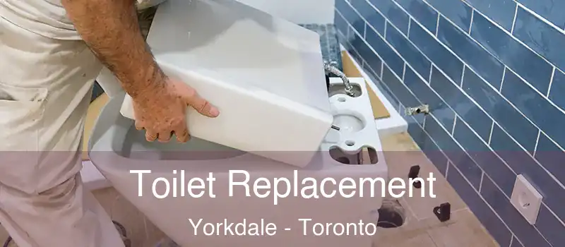  Toilet Replacement Yorkdale - Toronto