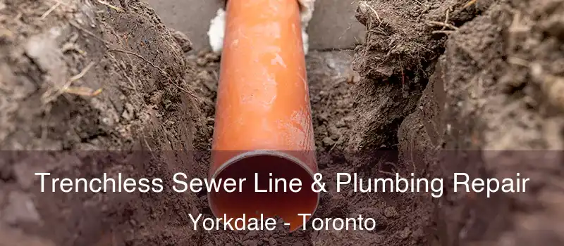  Trenchless Sewer Line & Plumbing Repair Yorkdale - Toronto