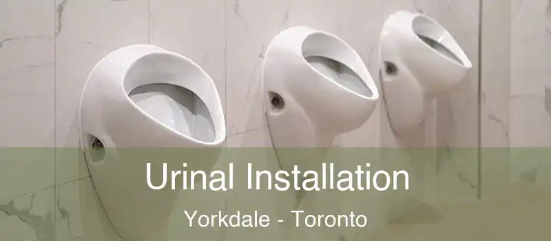  Urinal Installation Yorkdale - Toronto