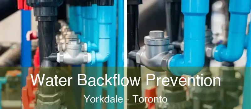  Water Backflow Prevention Yorkdale - Toronto