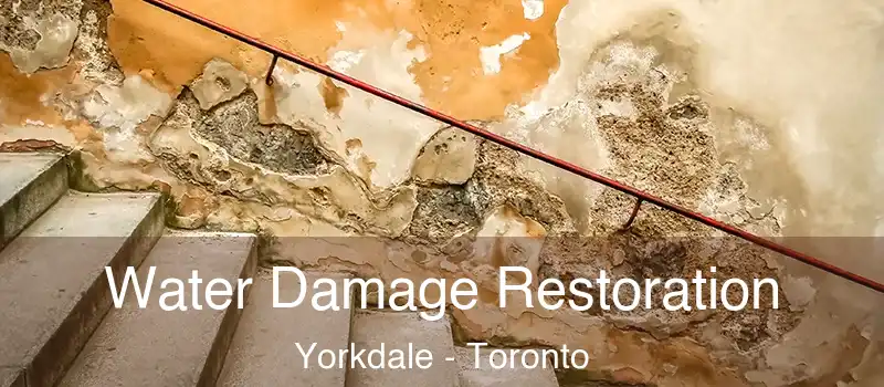  Water Damage Restoration Yorkdale - Toronto