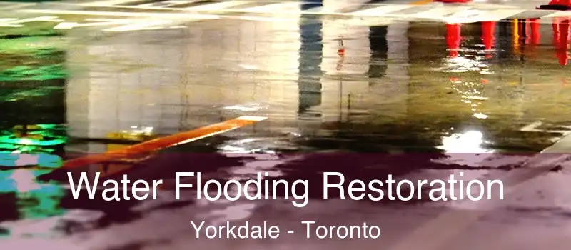  Water Flooding Restoration Yorkdale - Toronto