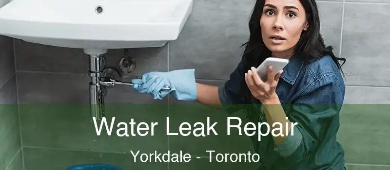  Water Leak Repair Yorkdale - Toronto