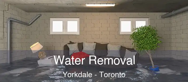  Water Removal Yorkdale - Toronto