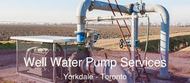  Well Water Pump Services Yorkdale - Toronto